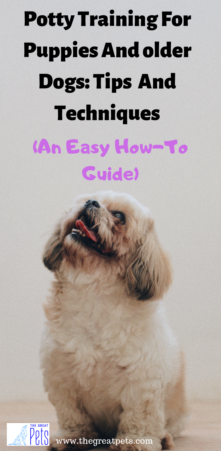 puppy regressing potty training