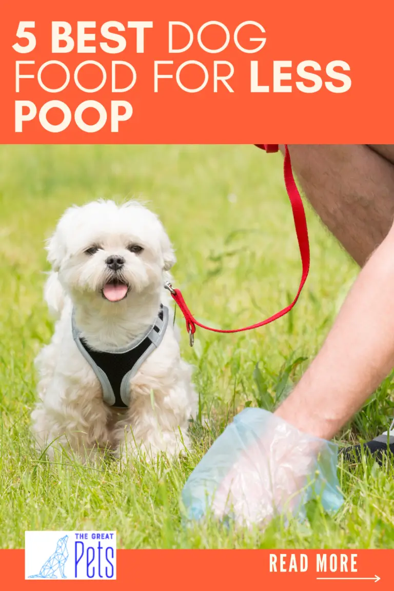 5 Best Dog Food for Less Poop 2021 Review Guide The Great Pets