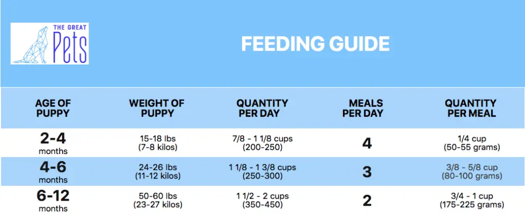 Lab Puppy Feeding Chart