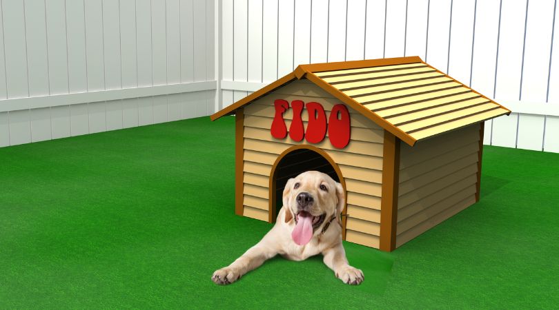 Best Dog Houses for Labrador Retriever