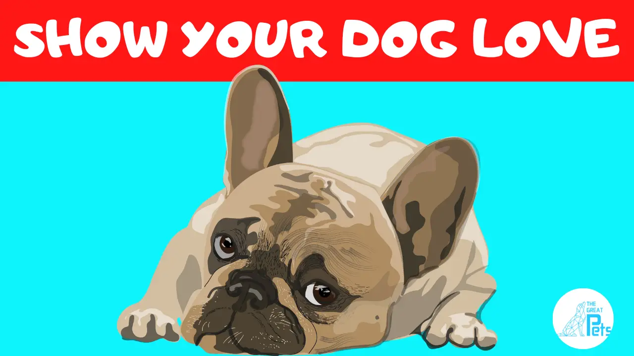 Ways to Tell Your Dog I Love You so They Can Understand