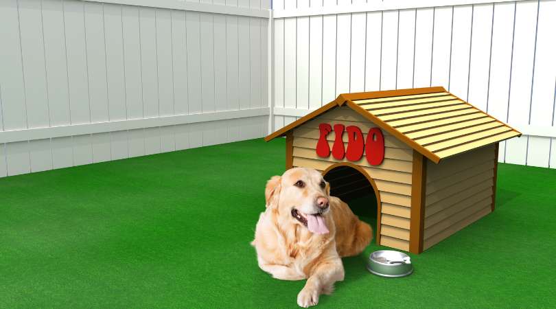Best Dog Houses for Golden Retrievers