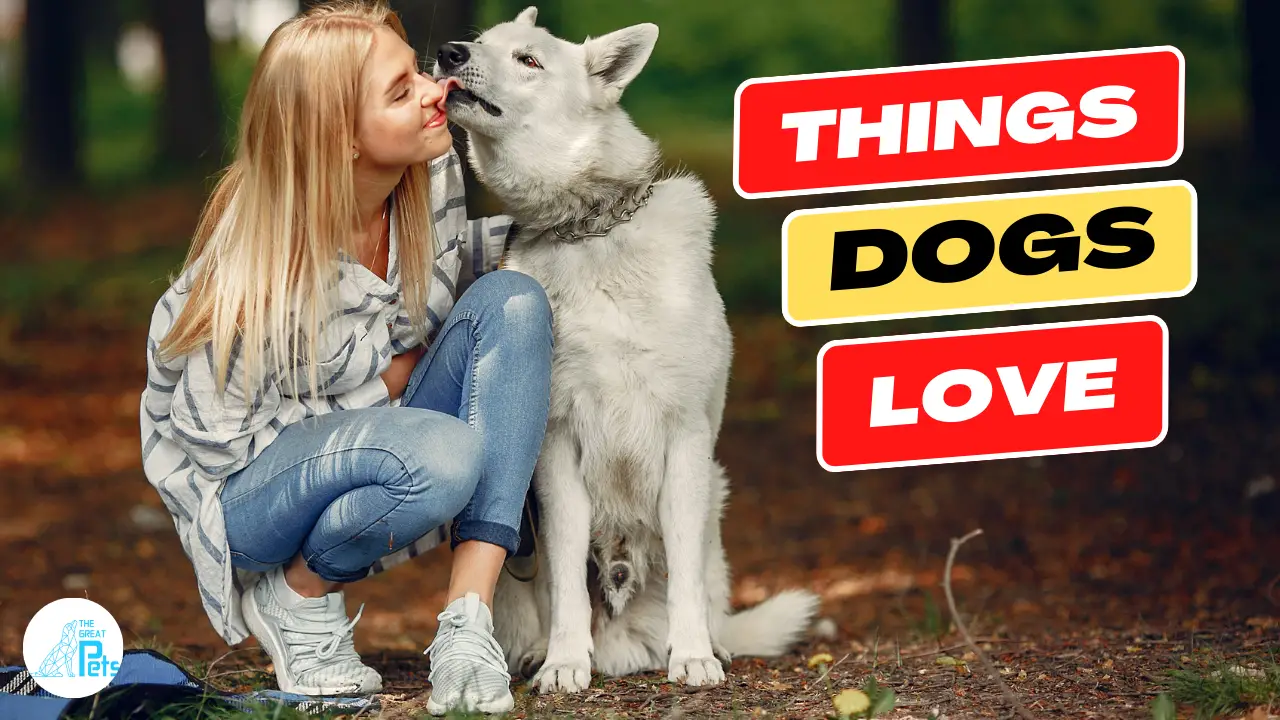 21 Things Dogs Love the Most