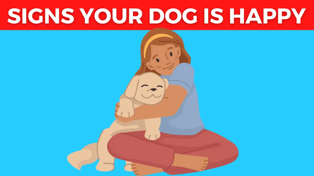 Signs Your Dog is VERY Happy and Healthy